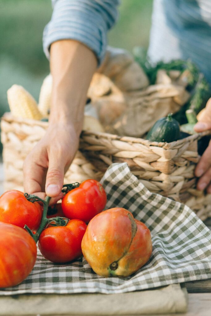 A person picking fresh organic tomatoes from a garden basket, showcasing natural produce and healthy living.